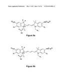 Long-Acting DNA Dendrimers and Methods Thereof diagram and image