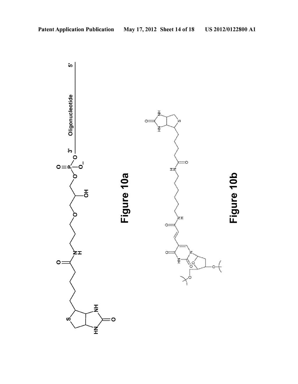 Long-Acting DNA Dendrimers and Methods Thereof - diagram, schematic, and image 15