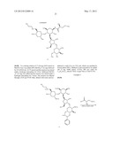 ANTIBACTERIAL AMINOGLYCOSIDE ANALOGS diagram and image