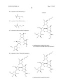 ANTIBACTERIAL AMINOGLYCOSIDE ANALOGS diagram and image