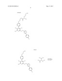 PRODRUGS AND THE USE THEREOF diagram and image