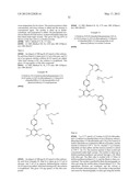 PRODRUGS AND THE USE THEREOF diagram and image