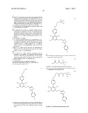 PRODRUGS AND THE USE THEREOF diagram and image