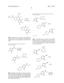 Poly (ADP-Ribose) Polymerase (PARP) Inhibitors diagram and image