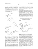 Poly (ADP-Ribose) Polymerase (PARP) Inhibitors diagram and image