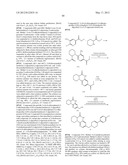 Poly (ADP-Ribose) Polymerase (PARP) Inhibitors diagram and image