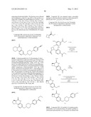 Poly (ADP-Ribose) Polymerase (PARP) Inhibitors diagram and image