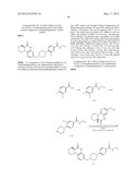 Poly (ADP-Ribose) Polymerase (PARP) Inhibitors diagram and image