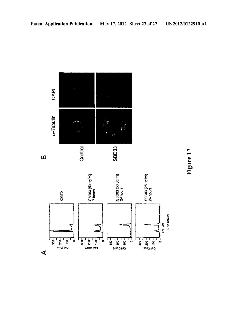 METHOD OF TREATING CANCER USING A SURVIVIN INHIBITOR - diagram, schematic, and image 24