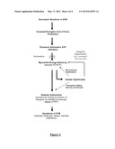 PERHEXILINE FOR USE IN THE TREATMENT OF HYPERTROPHIC CARDIOMYOPATHY (HCM) diagram and image