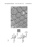 ULTRA-HIGH STRENGTH INJECTABLE HYDROGEL AND PROCESS FOR PRODUCING THE SAME diagram and image