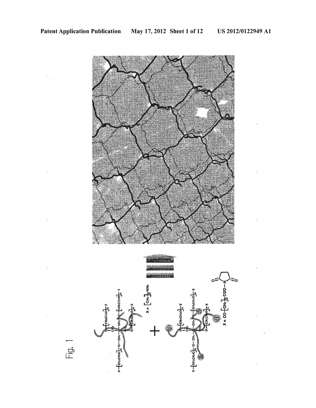 ULTRA-HIGH STRENGTH INJECTABLE HYDROGEL AND PROCESS FOR PRODUCING THE SAME - diagram, schematic, and image 02