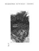 ULTRA-HIGH STRENGTH INJECTABLE HYDROGEL AND PROCESS FOR PRODUCING THE SAME diagram and image