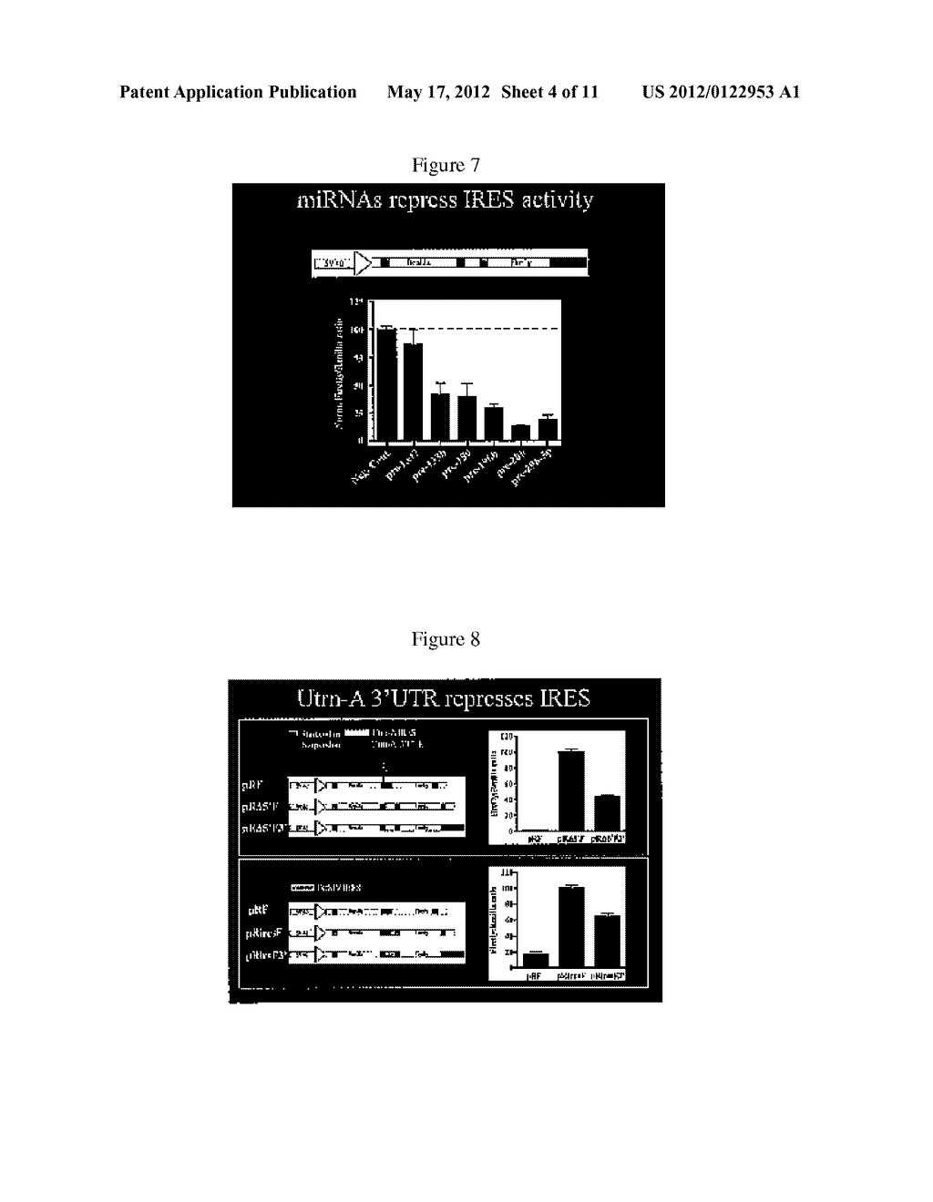 METHODS FOR ENHANCING UTROPHIN PRODUCTION VIA INHIBITION OF MICRORNA - diagram, schematic, and image 05