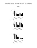 METHODS FOR ENHANCING UTROPHIN PRODUCTION VIA INHIBITION OF MICRORNA diagram and image