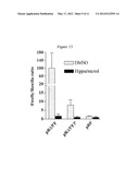 METHODS FOR ENHANCING UTROPHIN PRODUCTION VIA INHIBITION OF MICRORNA diagram and image