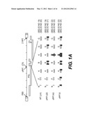 LENTIVIRAL TRIPLEX DNA, AND VECTORS AND RECOMBINANT CELLS CONTAINING     LENTIVIRAL TRIPLEX DNA diagram and image