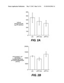 LENTIVIRAL TRIPLEX DNA, AND VECTORS AND RECOMBINANT CELLS CONTAINING     LENTIVIRAL TRIPLEX DNA diagram and image