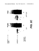 LENTIVIRAL TRIPLEX DNA, AND VECTORS AND RECOMBINANT CELLS CONTAINING     LENTIVIRAL TRIPLEX DNA diagram and image