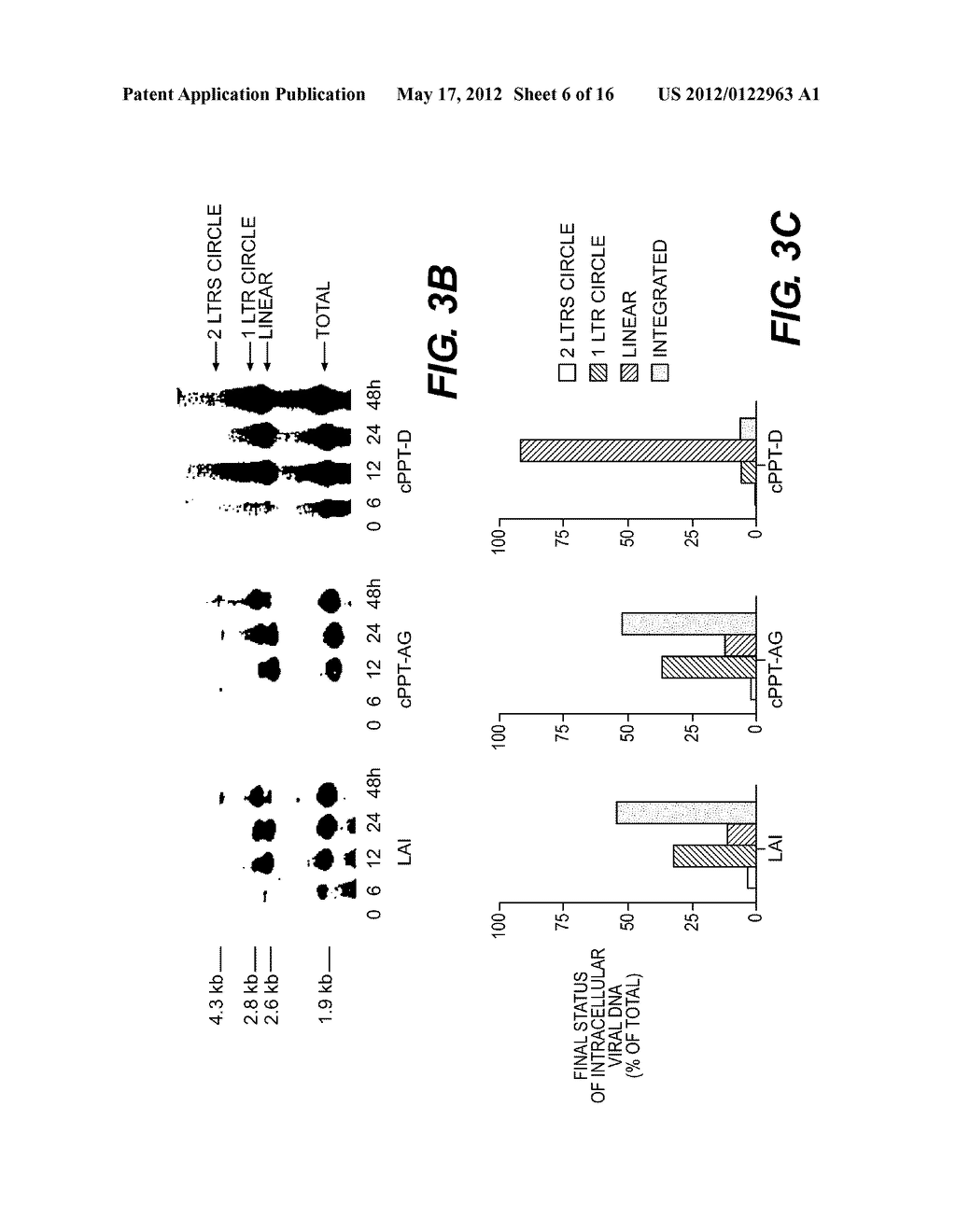 LENTIVIRAL TRIPLEX DNA, AND VECTORS AND RECOMBINANT CELLS CONTAINING     LENTIVIRAL TRIPLEX DNA - diagram, schematic, and image 07