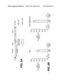 LENTIVIRAL TRIPLEX DNA, AND VECTORS AND RECOMBINANT CELLS CONTAINING     LENTIVIRAL TRIPLEX DNA diagram and image