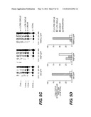 LENTIVIRAL TRIPLEX DNA, AND VECTORS AND RECOMBINANT CELLS CONTAINING     LENTIVIRAL TRIPLEX DNA diagram and image