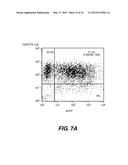 LENTIVIRAL TRIPLEX DNA, AND VECTORS AND RECOMBINANT CELLS CONTAINING     LENTIVIRAL TRIPLEX DNA diagram and image