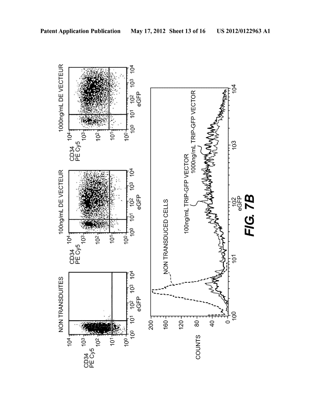 LENTIVIRAL TRIPLEX DNA, AND VECTORS AND RECOMBINANT CELLS CONTAINING     LENTIVIRAL TRIPLEX DNA - diagram, schematic, and image 14