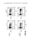 LENTIVIRAL TRIPLEX DNA, AND VECTORS AND RECOMBINANT CELLS CONTAINING     LENTIVIRAL TRIPLEX DNA diagram and image