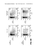 LENTIVIRAL TRIPLEX DNA, AND VECTORS AND RECOMBINANT CELLS CONTAINING     LENTIVIRAL TRIPLEX DNA diagram and image