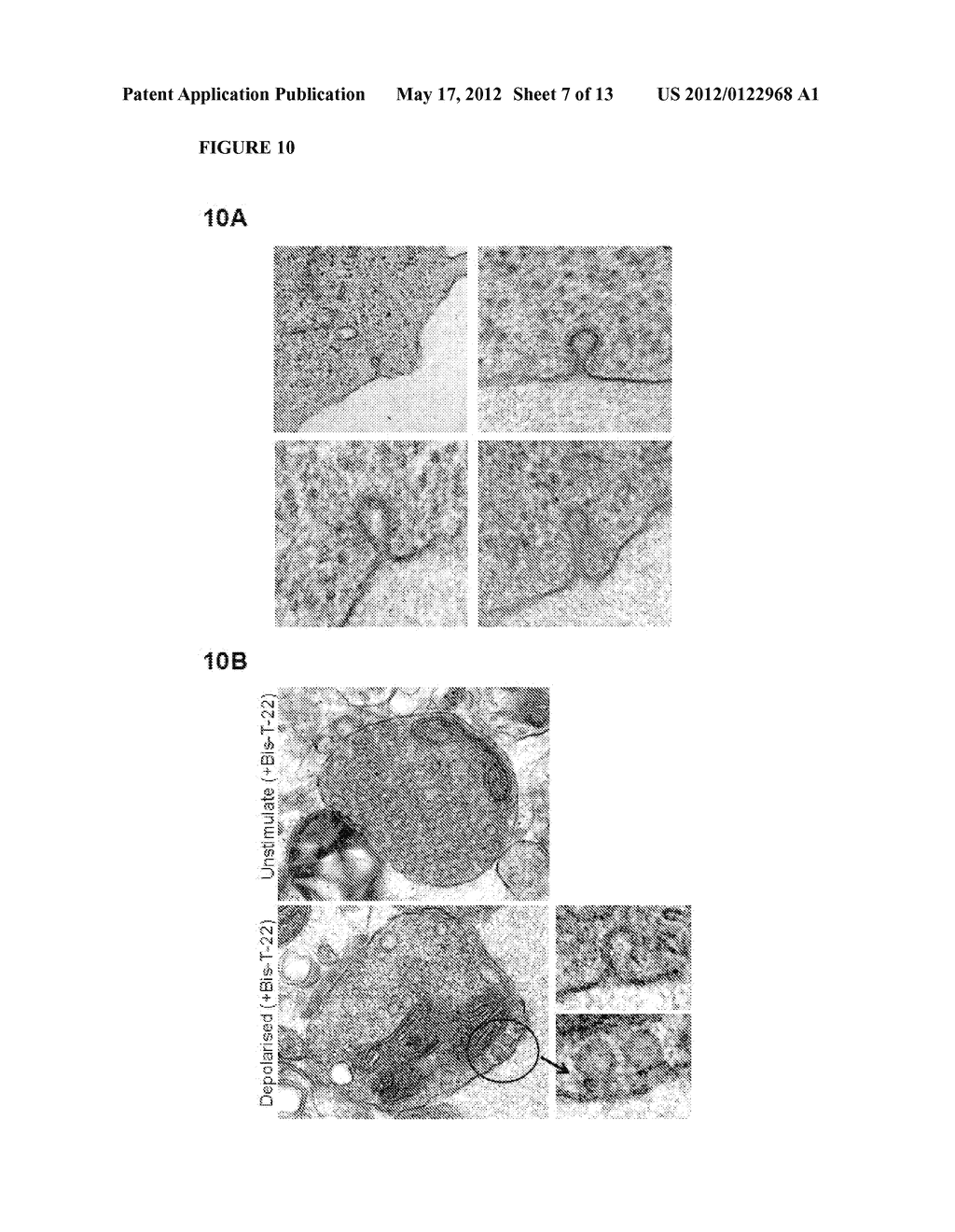 USE OF DYNAMIN RING STABILIZERS - diagram, schematic, and image 08