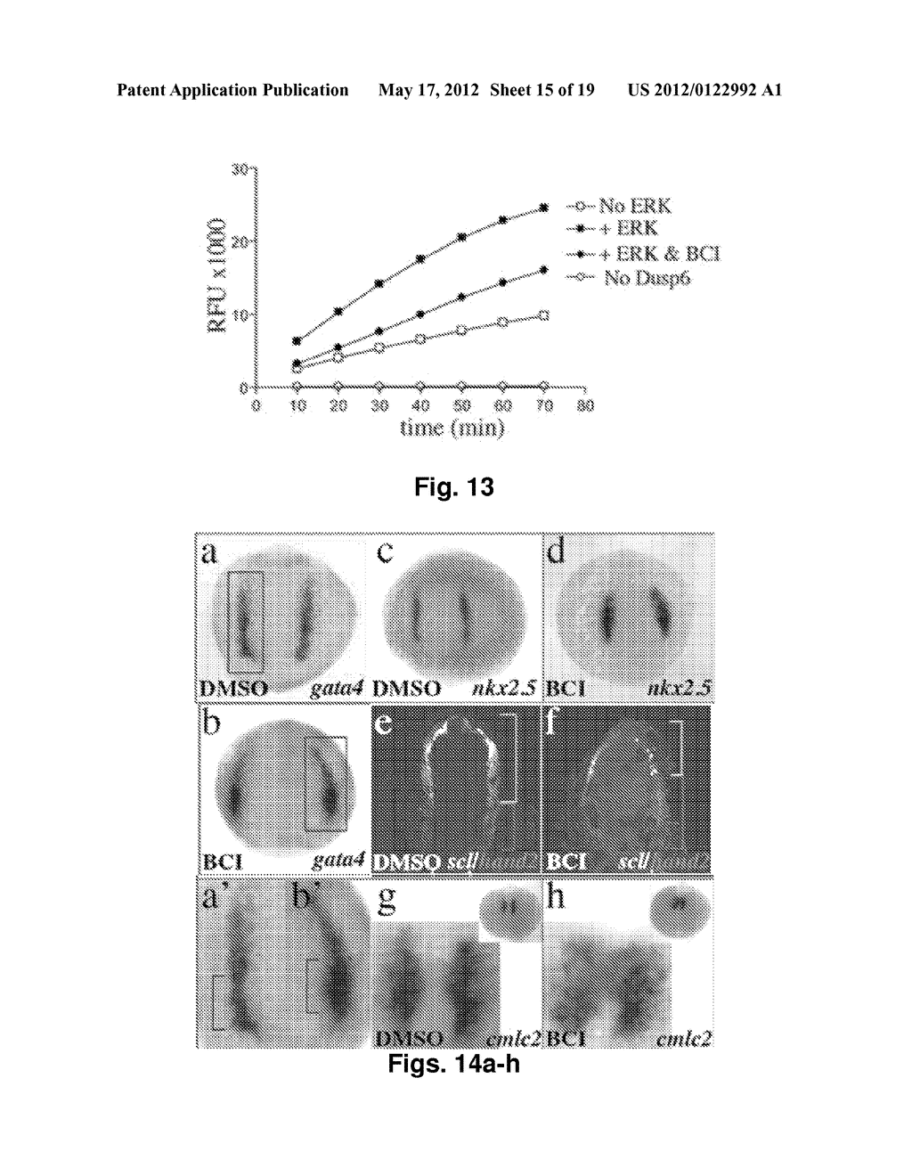 SMALL MOLECULE INHIBITORS OF Dusp6 AND USES THEREFOR - diagram, schematic, and image 16