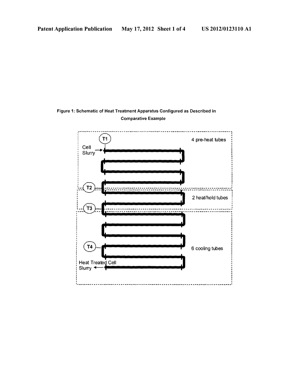 Plasmid DNA Extraction Process - diagram, schematic, and image 02