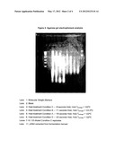 Plasmid DNA Extraction Process diagram and image