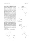 ACYCLIC NUCLEOSIDE DERIVATIVES diagram and image