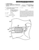 Intervertebral Spacer and Method of Installation Thereof diagram and image