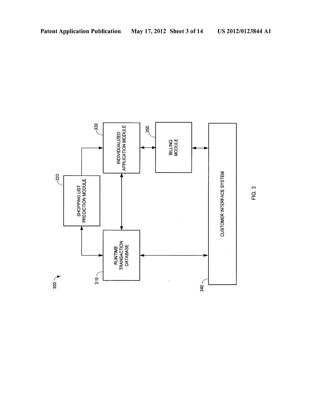 SYSTEM FOR INDIVIDUALIZED CUSTOMER INTERACTION - diagram, schematic, and image 04