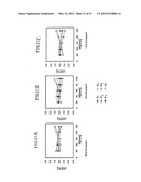 SHOE HAVING LACE FITTING STRUCTURE diagram and image