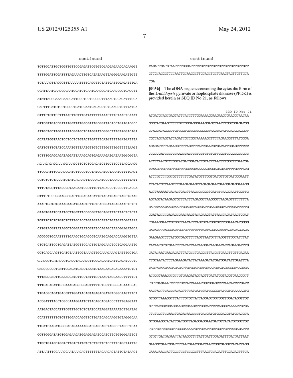 Transgenic Plants Comprising Constructs Encoding Phosphoenolpyruvate     Carboxykinase and/or Pyruvate Orthophosphate Dikinase - diagram, schematic, and image 19