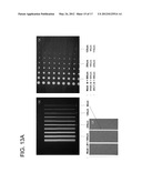 Methods Of Treating Copper Surfaces For Enhancing Adhesion To Organic     Substrates For Use In Printed Circuit Boards diagram and image