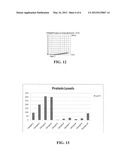 METHODS FOR REMOVING PATHOGENS FROM A PLATELET PREPARATION diagram and image