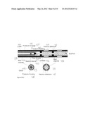 NON-ROTATING LOGGING-WHILE-DRILLING NEUTRON IMAGING TOOL diagram and image