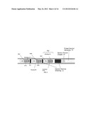 Neutron Detection Using a Shielded Gamma Detector diagram and image