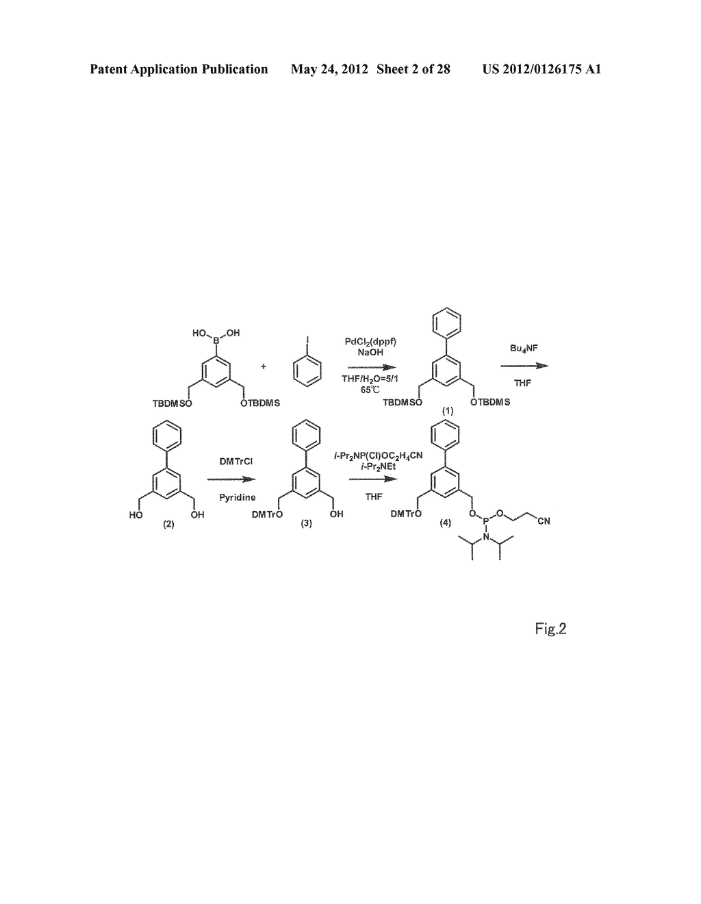 OLIGONUCLEOTIDE DERIVATIVE, LABELING AGENT AND USE FOR  LABELING AGENT - diagram, schematic, and image 03