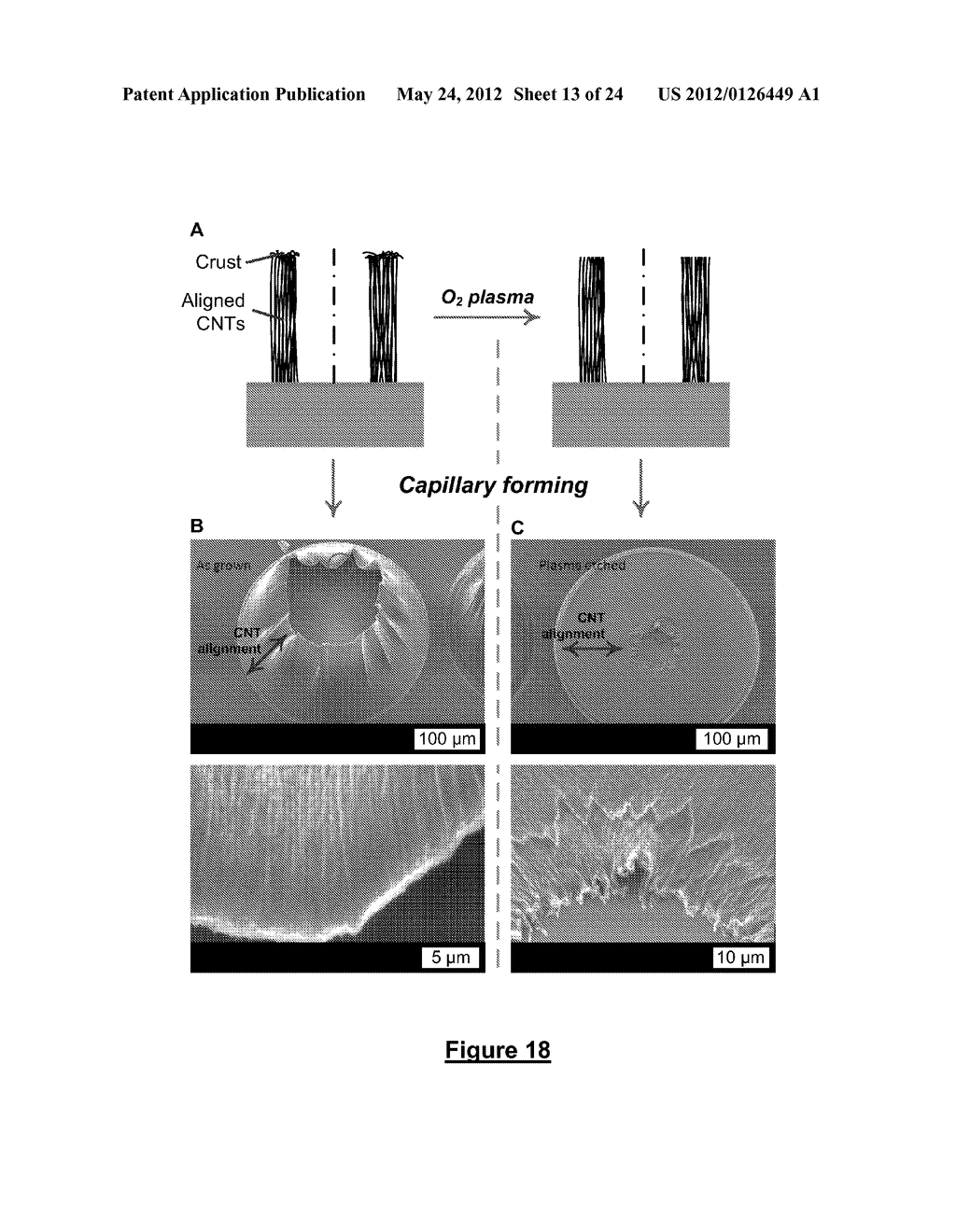 SHAPING NANOSTRUCTURE ARRAYS - diagram, schematic, and image 14