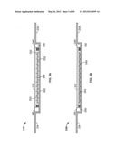 ELECTROACTIVE POLYMER TRANSDUCERS FOR TACTILE FEEDBACK DEVICES diagram and image