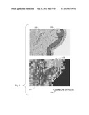 DIGITAL MICROSCOPY WITH FOCUS GRADING IN ZONES DISTINGUISHED FOR     COMPARABLE IMAGE STRUCTURES diagram and image