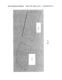 Directional flat illuminators diagram and image