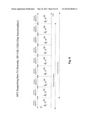 Method and System for a Sliding Window Phase Estimator for Wideband Code     Division Multiple Access (WCDMA) Automatic Frequency Correction diagram and image