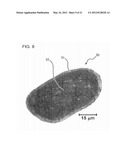 METHOD FOR ACQUIRING HAIR CHARACTERISTIC DATA AND APPARATUS FOR ACQUIRING     THE SAME diagram and image